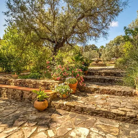 In With House A Mountain View Σπίτι διακοπών Ρόντα